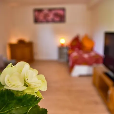 Apartamento Mit Wohlfuehlcharakter *