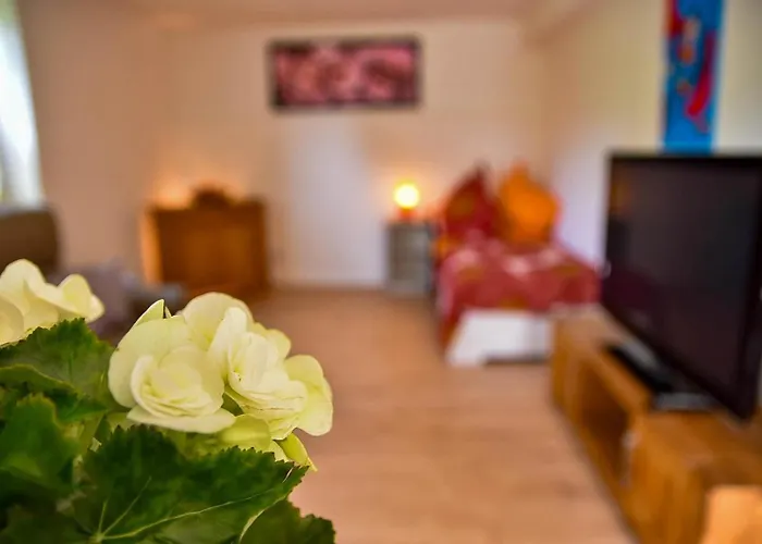 Apartamento Mit Wohlfuehlcharakter *